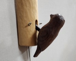 딱따구리