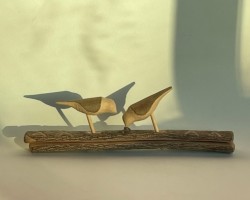 모이쪼는 새