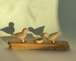 모이쪼는 새